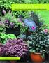 Gardens to Go: Creating and Designing a Container Garden
