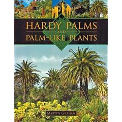Hardy Palms and Palm-like Plants