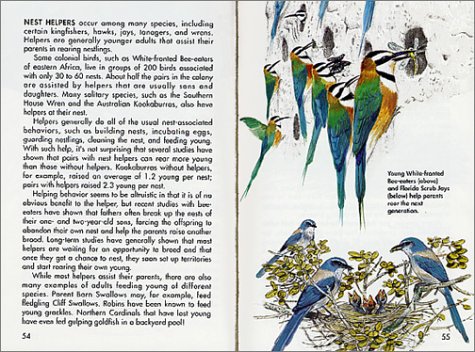 Cover image : Bird Life: A Guide to the Behavior and Biology of Birds (Golden Guide)