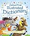 Books : Oxford First Illustrated Dictionary