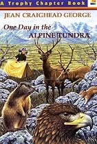 One Day In The Alpine Tundra