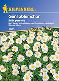 Details zu "Wiesen-Gänseblümchen," Details zu "Wiesen-Gänseblümchen,"