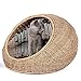 D+ Garden Wicker Cat Bed for Medium Indoor Cats - a Covered Cat Hideaway Hut of Rattan Houses Pets in Dome Basket, Washable