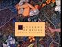 Patterns of Desire: Watercolors by Joyce Kozloff