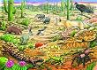 Life in the Desert (35 Piece Tray Puzzle) Life in the Desert (35 Piece Tray Puzzle)
