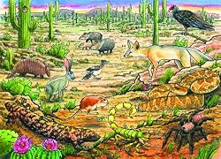 Life in the Desert (35 Piece Tray Puzzle)