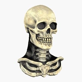 Skull 'n Bones Mask