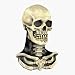 Skull 'n Bones Mask