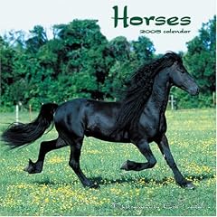 Horses 2005 Calendar