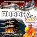 Buddha Wild: The Monk in a Hut