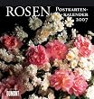 Rosen 2007. Postkartenkalender.