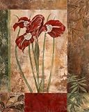 (12x16) Maria Donovan Jeweled Iris I Art Print Poster