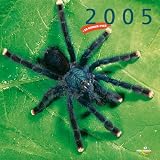 Produkt-Bild: Vogelspinnen, Brosch&uuml;renkalender
