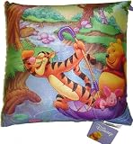 Winnie the Pooh Microbead Pillow - 13 X 13