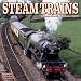 Steam Trains 2009 Wall Calendar