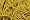 Brown & Gold (Yellow)