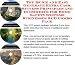 The Quick and Easy Generate Extra Cash, Success Principles and eCommerce for Home Safety Systems Businesses 3 CD Combo Pack
