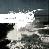 Assemblage 23 - Storm