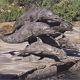 5 Dolphins