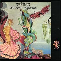 Nantucket Sleighride