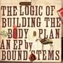 Logic of Building the Body Plan