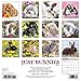 Just Bunnies 2017 Wall Calendar