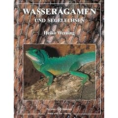 Wasseragamen und Segelechsen