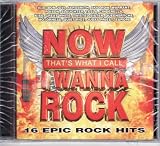 Now That's What I Call I Wanna Rock - 16 Epic Rock Hits