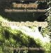 Music : MORNING IN THE FOREST (Tranquility Series)