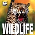 Wildlife (MiniCube) (CubeBook)