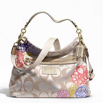 coach hobo multicolor