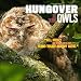 (12x12) Hungover Owls 2012 Calendar