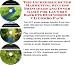 The Incredible Super Marketing, Success Principles and Inner Game for Laundry Baskets...