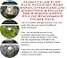 Book Massive Cash Flow Pack with Earn More Money, Inner Game and Accounting & Finance for Wedding Gowns On-line Businesses 3 Course Pack