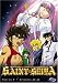 Saint Seiya, Vol. 9: Challenge Accepted