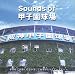 Sounds of �b�q������