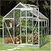 4ft x 6ft Clear Polycarbonate Greenhouse
