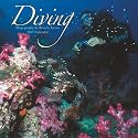 Diving 2007.