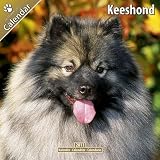 Kalender 2011 Wolfsspitz - Keeshond - Deutscher Spitz