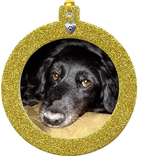 Pet Memorial Magnetic Glitter Holiday Photo Ornaments, Round, Bright Yellow Gold