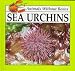 Sea Urchins (Animals Without Bones Discovery Animals) by Jason Cooper