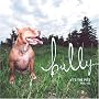 Bully: The Pits