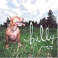 Bully: The Pits