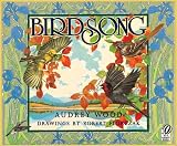 Birdsong
