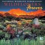 National Wildlife Federation: Wildflowers Forever 2005 Calendar (National Wildlife Federation)