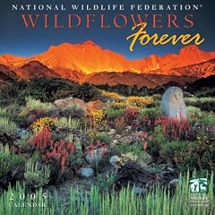 National Wildlife Federation: Wildflowers Forever 2005 Calendar (National Wildlife Federation)