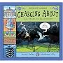 Charging About: The Story of Electricity (Science Works)