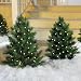 Cordless LED Pre-lit Walkway Tree