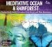 Meditative Ocean & Rainforest