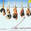 Das Auge Gottes (Incl.1 Multi